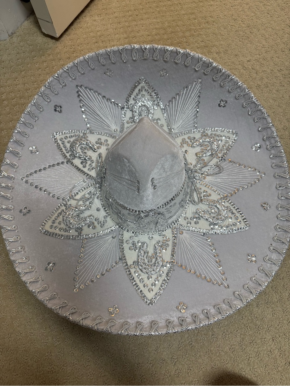 White & Silver Velvet Sombrero